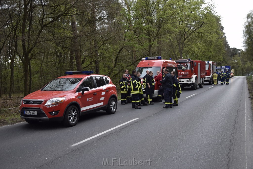 Waldbrand Wahner Heide Troisdorf Eisenweg P267.JPG - Miklos Laubert